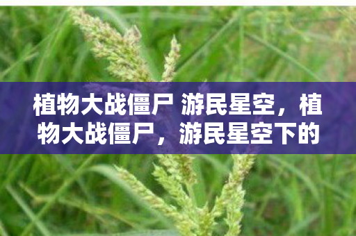 植物大战僵尸 游民星空，植物大战僵尸，游民星空下的经典回忆