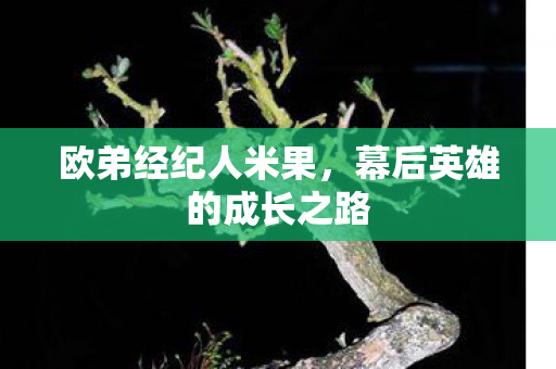 欧弟经纪人米果，幕后英雄的成长之路