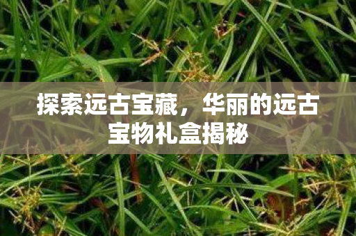 探索远古宝藏，华丽的远古宝物礼盒揭秘