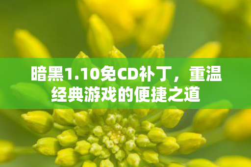 暗黑1.10免CD补丁，重温经典游戏的便捷之道