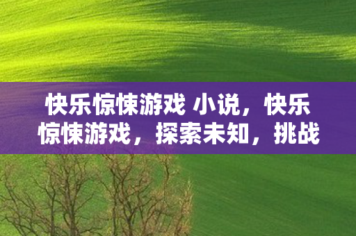 快乐惊悚游戏 小说，快乐惊悚游戏，探索未知，挑战极限