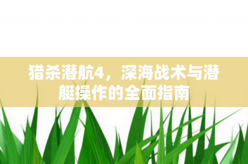 猎杀潜航4，深海战术与潜艇操作的全面指南