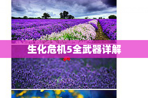 生化危机5全武器详解