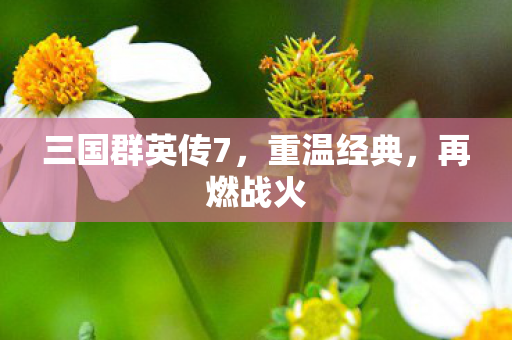 三国群英传7，重温经典，再燃战火