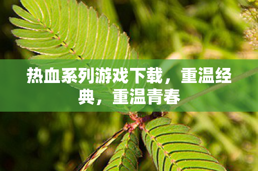 热血系列游戏下载，重温经典，重温青春