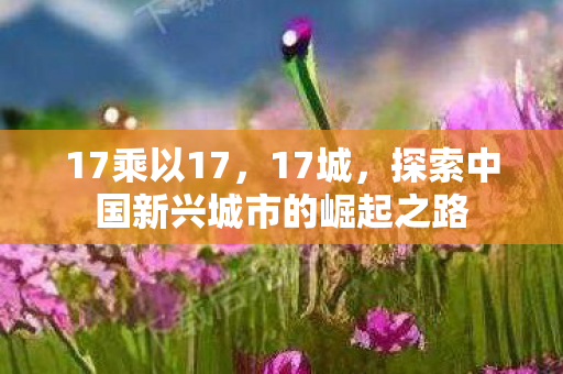 17乘以17，17城，探索中国新兴城市的崛起之路