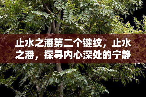 探寻内心深处的宁静与力量图片