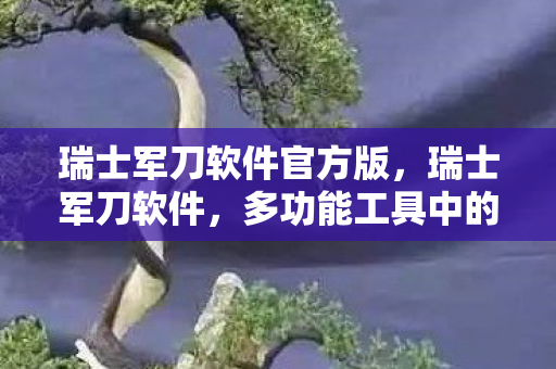 瑞士军刀软件官方版,瑞士军刀软件,多功能工具中的佼佼者 瑞士军刀软件官方版,瑞士军刀软件,多功能工具中的佼佼者