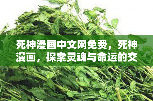 死神漫画中文网免费，死神漫画，探索灵魂与命运的交织