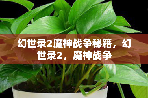 幻世录2魔神战争秘籍，幻世录2，魔神战争
