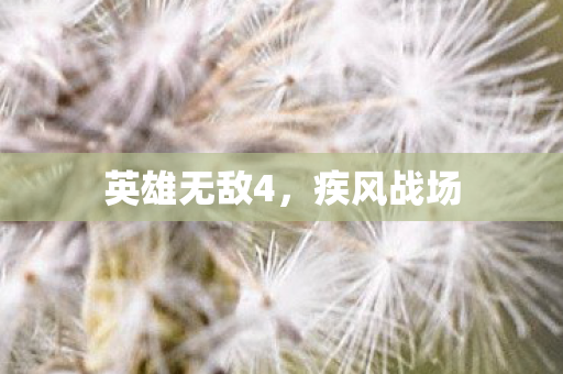 英雄无敌4，疾风战场