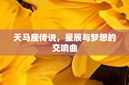 天马座传说，星辰与梦想的交响曲