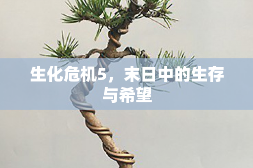 生化危机5，末日中的生存与希望