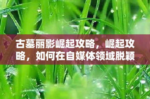 古墓丽影崛起攻略，崛起攻略，如何在自媒体领域脱颖而出