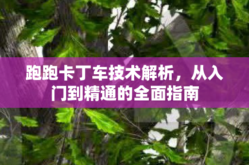 跑跑卡丁车技术解析，从入门到精通的全面指南
