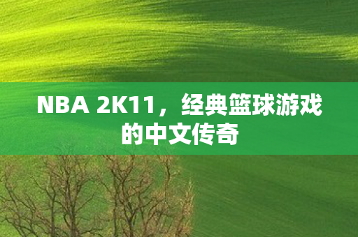NBA 2K11，经典篮球游戏的中文传奇