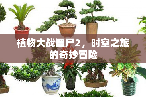 植物大战僵尸2，时空之旅的奇妙冒险