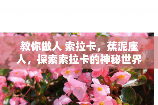 教你做人 索拉卡，蕉泥座人，探索索拉卡的神秘世界