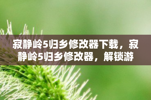 寂静岭5归乡修改器下载，寂静岭5归乡修改器，解锁游戏新体验