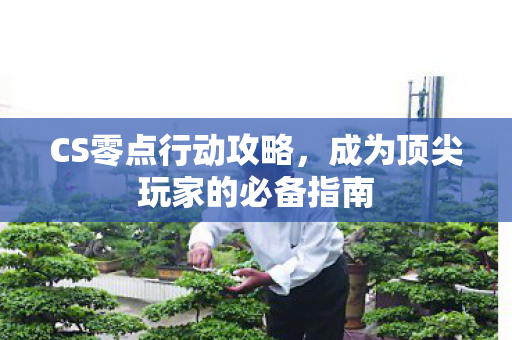 成为顶尖玩家的必备指南图片