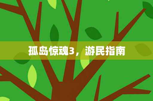 孤岛惊魂3，游民指南