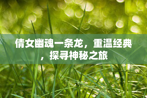 倩女幽魂一条龙，重温经典，探寻神秘之旅