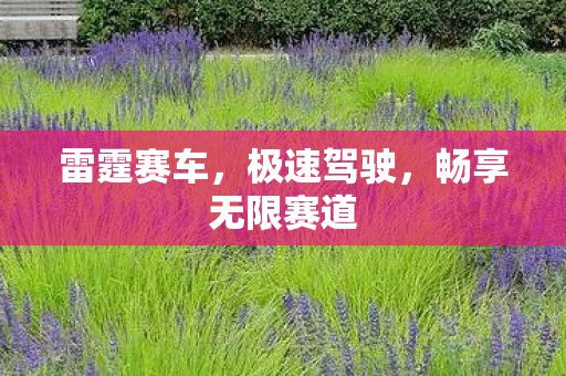 雷霆赛车，极速驾驶，畅享无限赛道