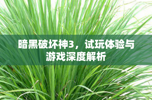 暗黑破坏神3，试玩体验与游戏深度解析