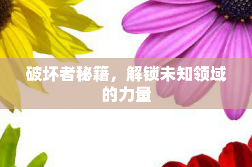 破坏者秘籍，解锁未知领域的力量