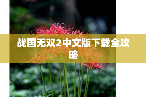 战国无双2中文版下载全攻略