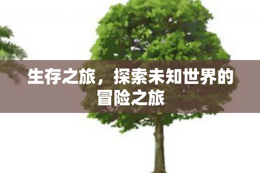 生存之旅，探索未知世界的冒险之旅