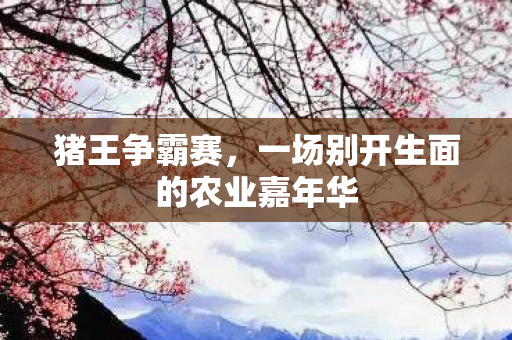 猪王争霸赛，一场别开生面的农业嘉年华