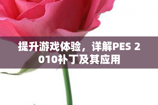 提升游戏体验，详解PES 2010补丁及其应用