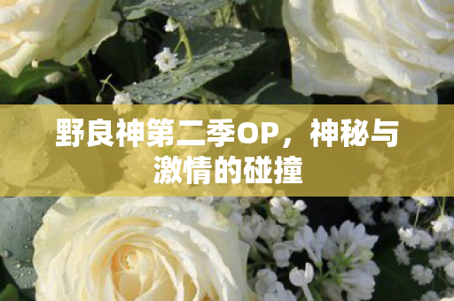 野良神第二季OP，神秘与激情的碰撞