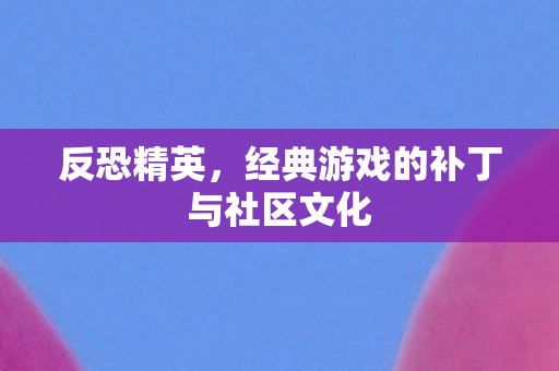 经典游戏的补丁与社区文化图片
