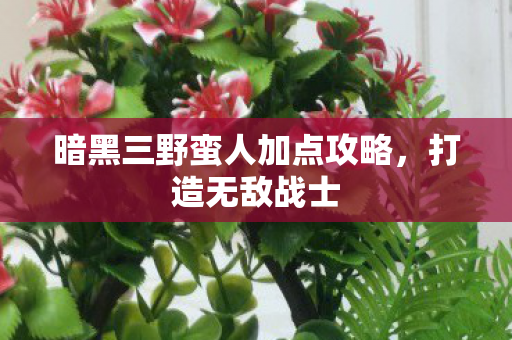 暗黑三野蛮人加点攻略图片