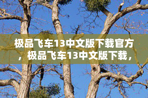 极品飞车13中文版下载官方图片
