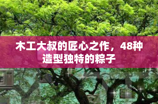 48种造型独特的粽子图片