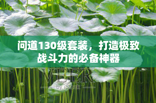 打造极致战斗力的必备神器图片