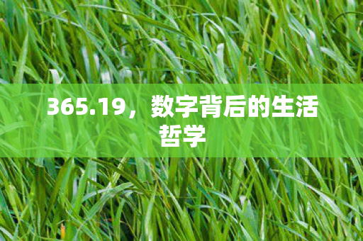 数字背后的生活哲学图片