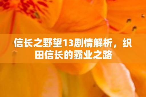 信长之野望13剧情解析图片