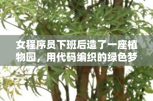 女程序员下班后造了一座植物园图片