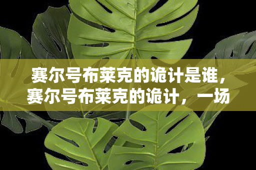 赛尔号布莱克的诡计是谁,赛尔号布莱克的诡计,一场星际迷航的冒险 赛尔号布莱克的诡计是谁,赛尔号布莱克的诡计,一场星际迷航的冒险