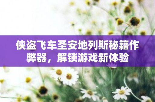 侠盗飞车圣安地列斯秘籍作弊器图片