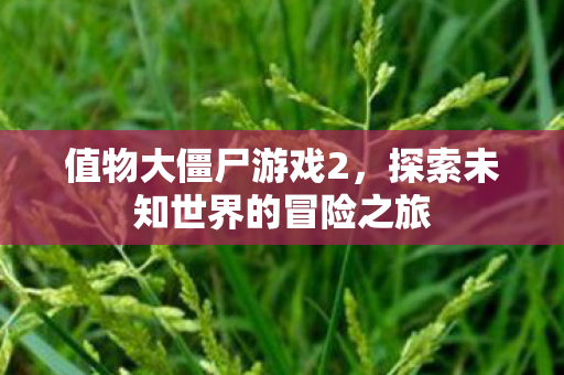 探索未知世界的冒险之旅图片