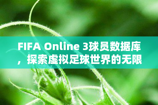 FIFA Online 3球员数据库图片