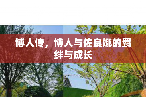 博人与佐良娜的羁绊与成长图片