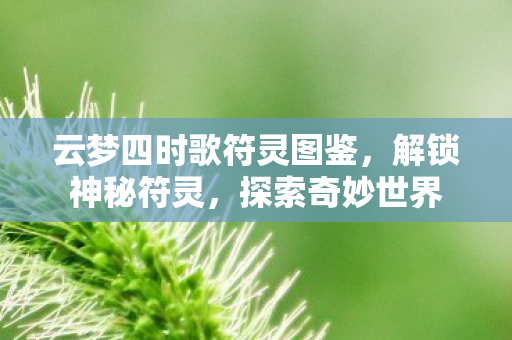 云梦四时歌符灵图鉴图片