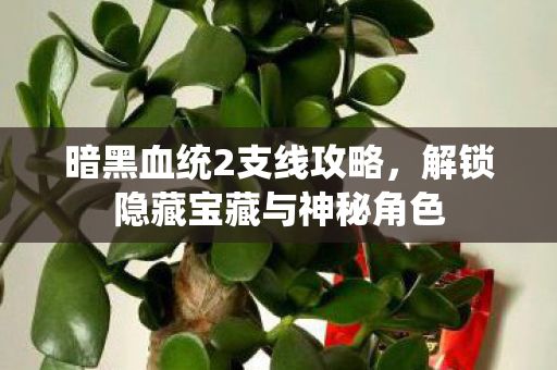 解锁隐藏宝藏与神秘角色图片