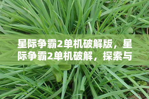 星际争霸2单机破解版图片